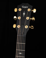 Taylor 50th Anniversary 314ce Grand Auditorium Shaded Edgeburst