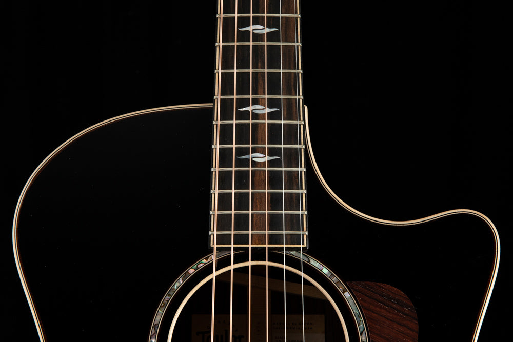 814ce Indian Rosewood Acoustic-Electric Guitar | Taylor Guitars