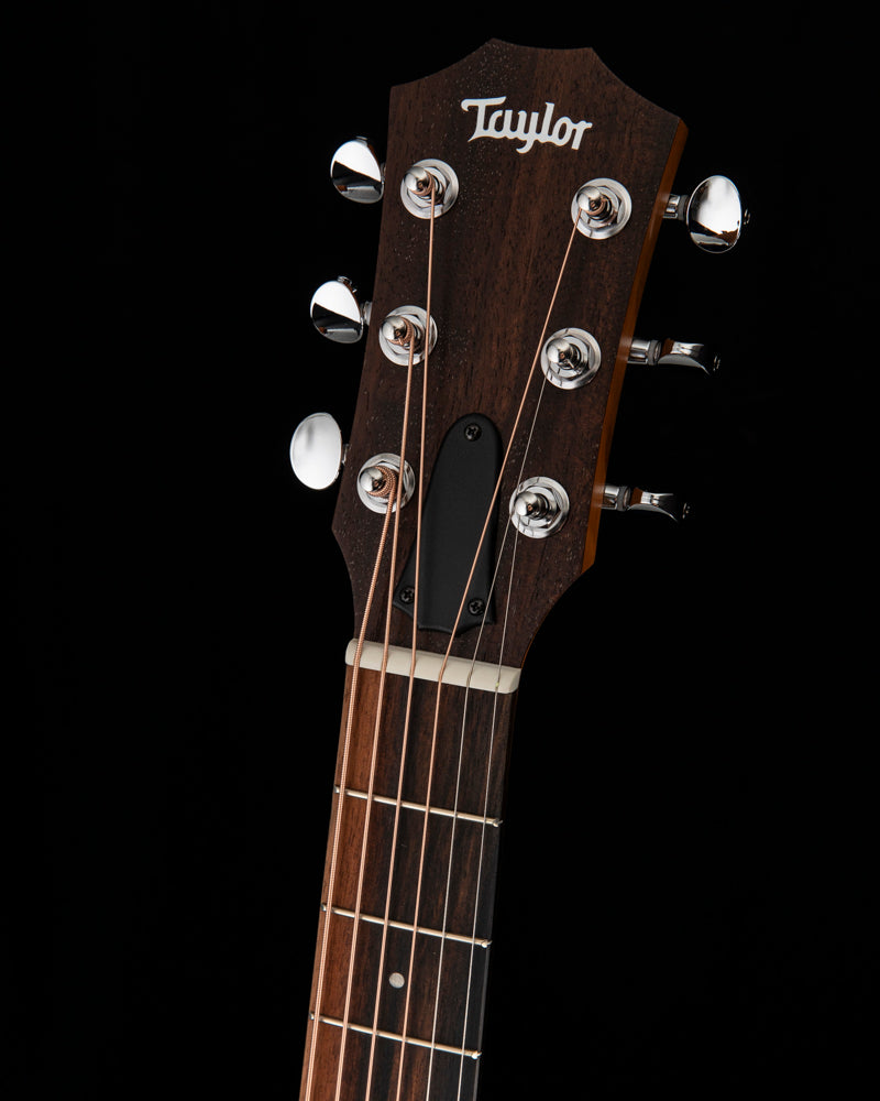 Taylor GS Mini-e Special Edition Dragon