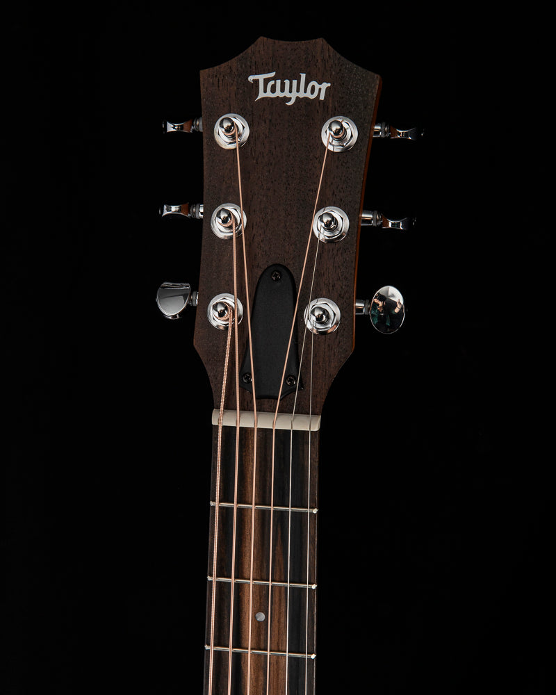 Taylor GS Mini-e Special Edition Dragon