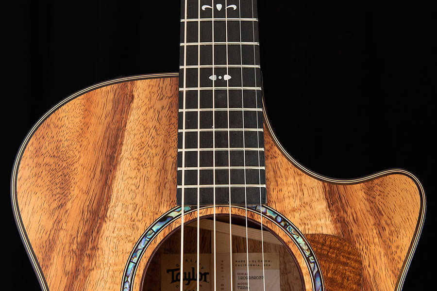 Williams Audio Professional mkII ギター｜ギターエフェクター