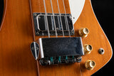 1976 Gibson Thunderbird Bicentennial