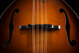 Used Collings MT2 Mandolin Sunburst