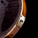 Used Paul Reed Smith Custom 24 Violet