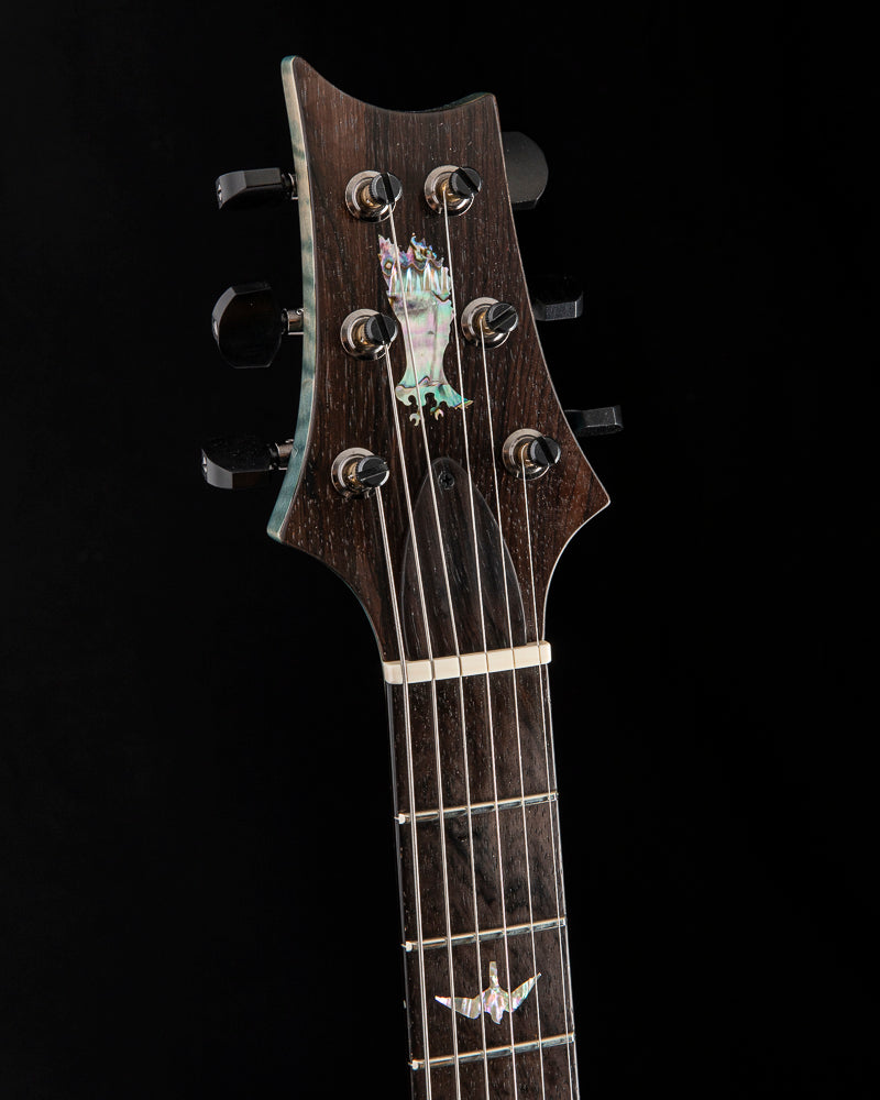 Used Paul Reed Smith Private Stock Modern Eagle V Whale Blue Glow