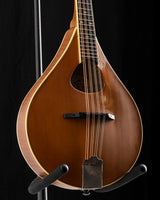 Used Weber Bridger Mandola Natural