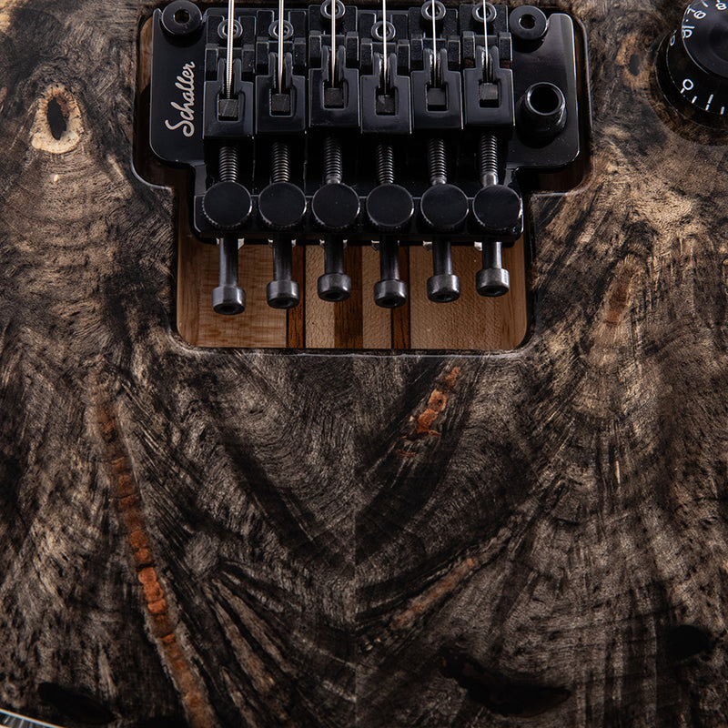 Mayones Regius PRO 6 Buckeye Burl