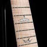 Paul Reed Smith Wood Library Artist Custom 24 Brian's Guitars 10th Anniversary Limited Laguna