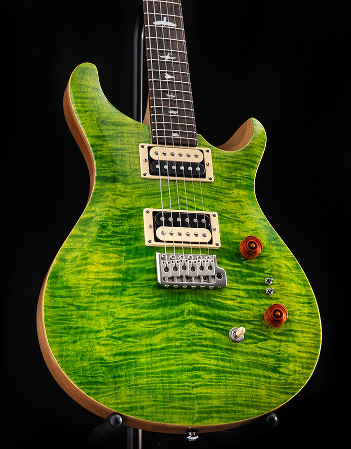 ギター PaulReedSmith SE Custom 24 / Eriza Verde Paul Reed Smith SE Custom 24-08 Eriza Verde