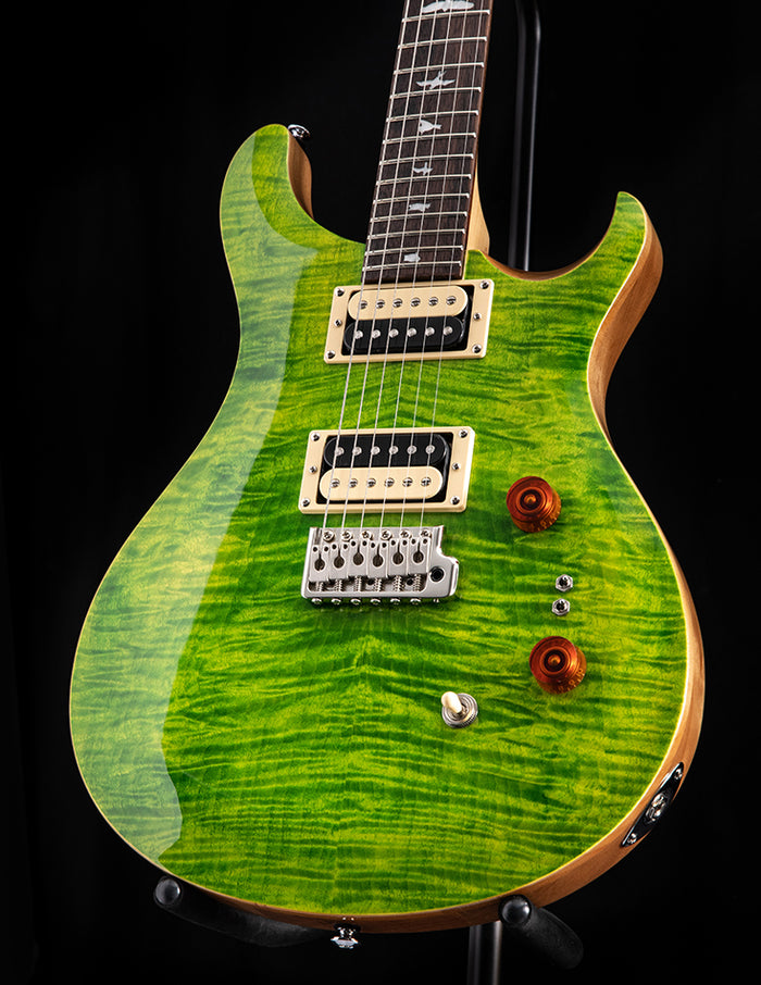 Paul Reed Smith SE Custom 24-08 Eriza Verde