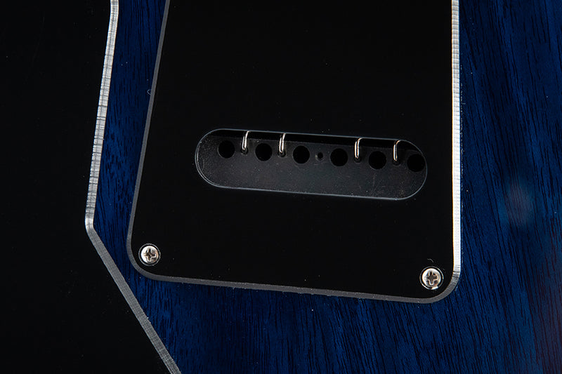 Paul Reed Smith CE 24 Eriza Verde Blue Burst