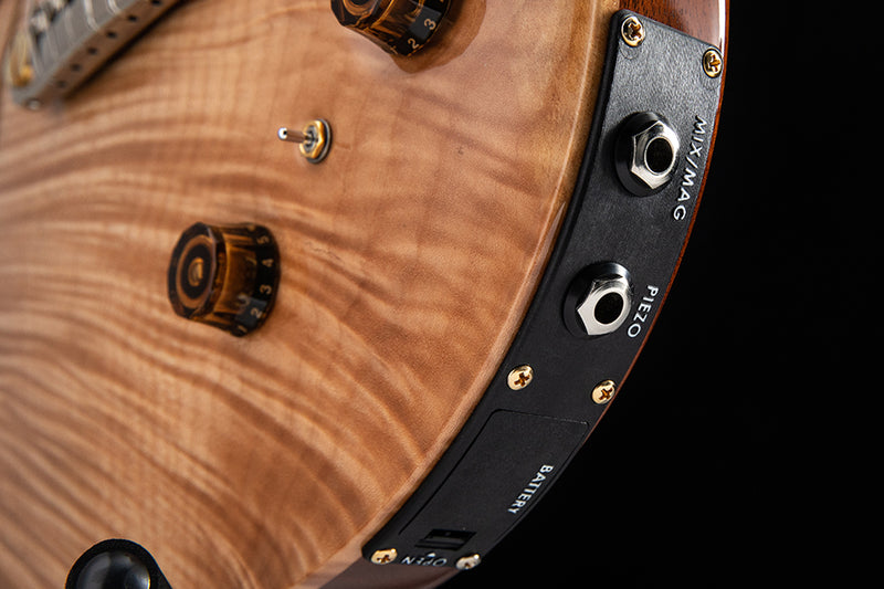 Paul Reed Smith Employee P22 Piezo Natural - Consignment