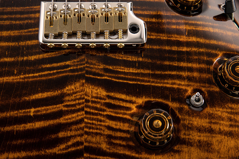 Paul Reed Smith Custom 24 | Piezo Burnt Maple | PRS SE Custom 24