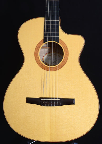Used Taylor NS62 ce Nylon