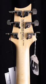 Paul Reed Smith SE Mark Holcomb Trampas Green Limited Run-Brian's Guitars