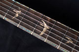 Paul Reed Smith Private Stock Custom 22 Signature Faded Purple-Brian's Guitars