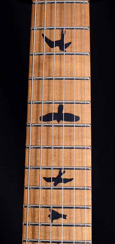 Paul Reed Smith SE Custom 24 Roasted Maple Trampas Green-Brian's Guitars