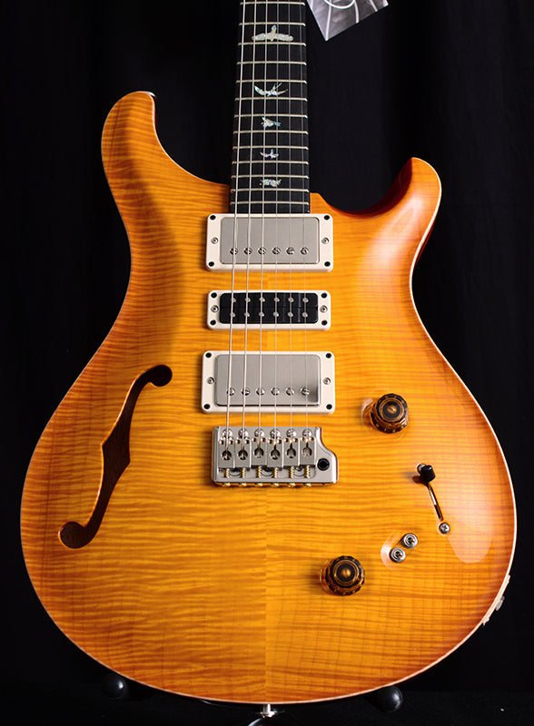Paul Reed Smith Wood Library Special Semi-Hollow Brian's Limited McCarty Sunburst-Brian's Guitars