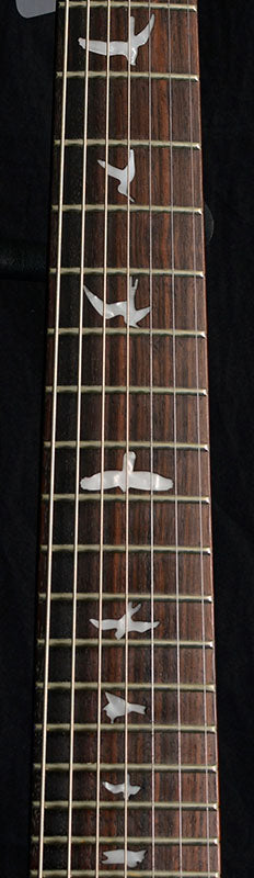 Used Paul Reed Smith SE Custom 7 String-Brian's Guitars