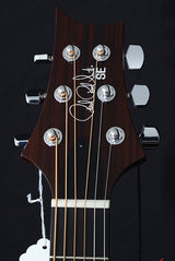 Paul Reed Smith SE Tonare T40E-Brian's Guitars