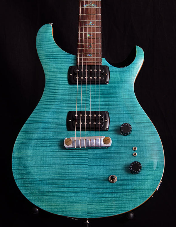 Paul Reed Smith SE Paul's Guitar Aqua-Electric Guitars-Brian's Guitars