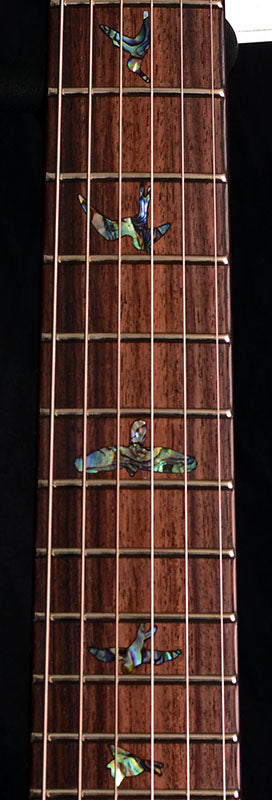 Paul Reed Smith SE Paul's Guitar Aqua-Electric Guitars-Brian's Guitars