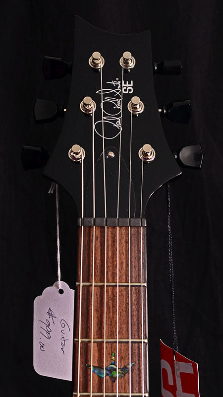 Paul Reed Smith SE Paul's Guitar Aqua-Electric Guitars-Brian's Guitars