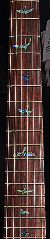 Paul Reed Smith SE Paul's Guitar Aqua-Brian's Guitars