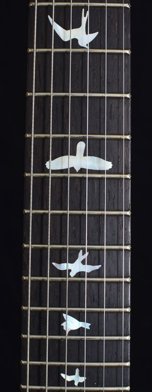 Paul Reed Smith Custom 24 Swamp Ash Black Gold One Off-Brian's Guitars