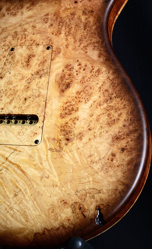Paul Reed Smith Private Stock Special Semi-Hollow Burl Maple-Electric Guitars-Brian's Guitars