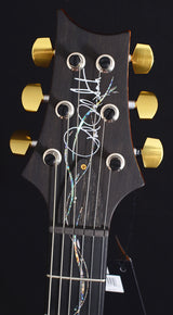Paul Reed Smith 30th Anniversary Vine Custom 22 Limited Copperhead-Brian's Guitars