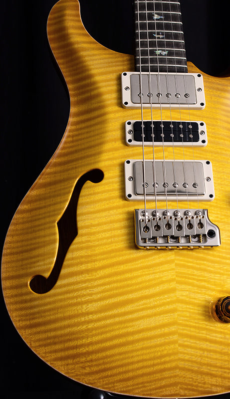 Paul Reed Smith Wood Library Special Semi-Hollow Brian's Limited Livingston Lemondrop-Brian's Guitars