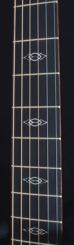 Taylor Custom GA Ovangkol-Brian's Guitars