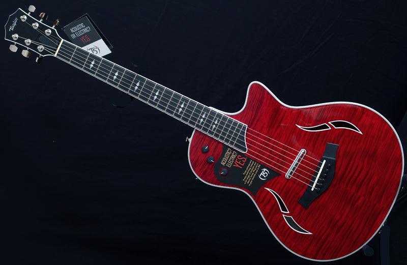 Taylor T5z Pro Borrego Red-Brian's Guitars
