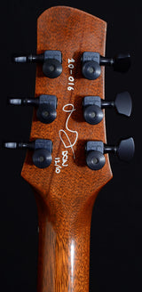 Used DGN Paragon Redwood-Brian's Guitars