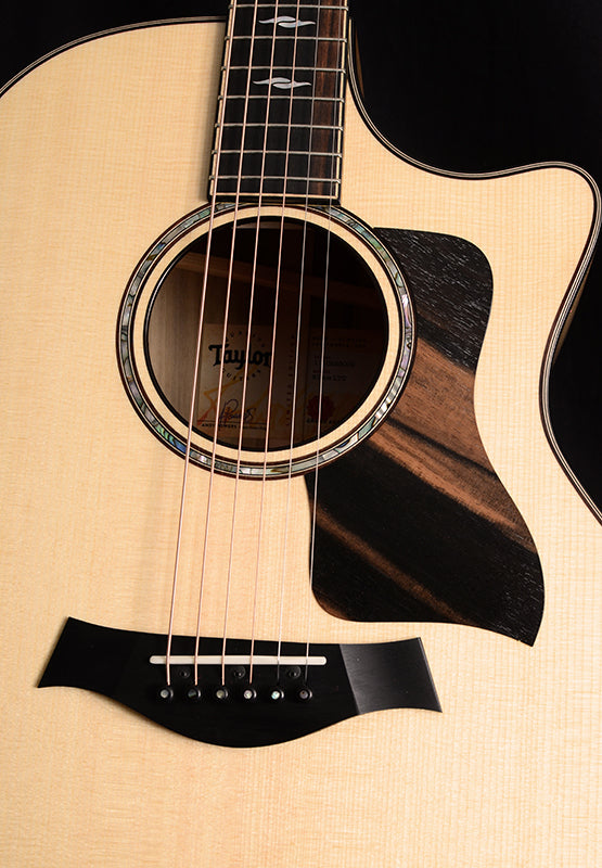 Taylor 814ce V-Class Sassafras Limited Edition-Acoustic Guitars-Brian's Guitars