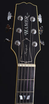 Used Hamer Newport Pro Custom Birdseye Maple-Brian's Guitars