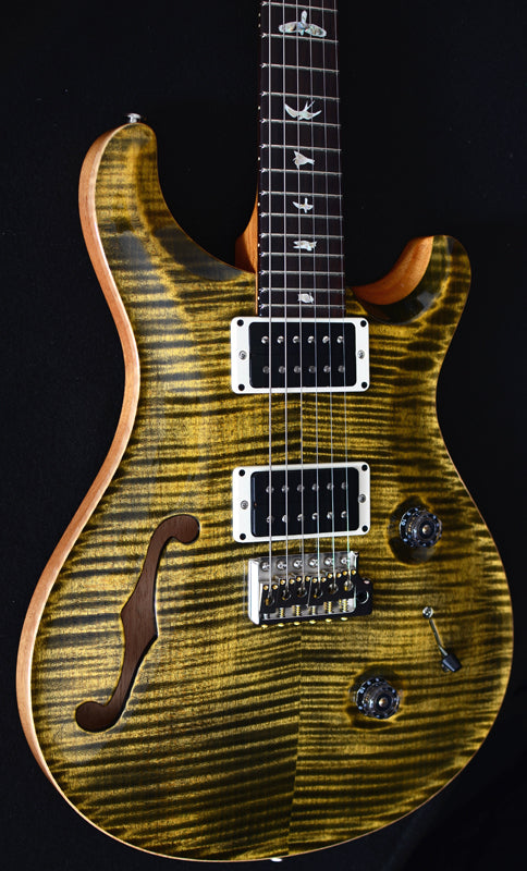 Paul Reed Smith Custom 24 Semi-Hollow Obsidian-Brian's Guitars