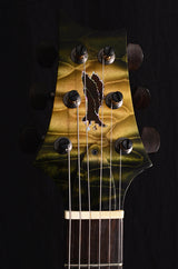 Paul Reed Smith Private Stock Modern Eagle V Stoptail Zombie Sky Brian's Guitars 10th Anniversary