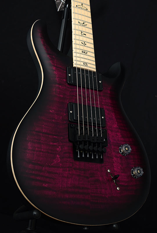 Paul Reed Smith DW CE 24 ÒFloydÓ Limited Edition Waring Burst-Brian's Guitars