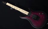 Paul Reed Smith DW CE 24 ÒFloydÓ Limited Edition Waring Burst-Brian's Guitars