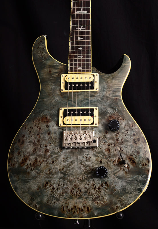 Paul Reed Smith SE Custom 24 Poplar Burl Whale Blue-Electric Guitars-Brian's Guitars