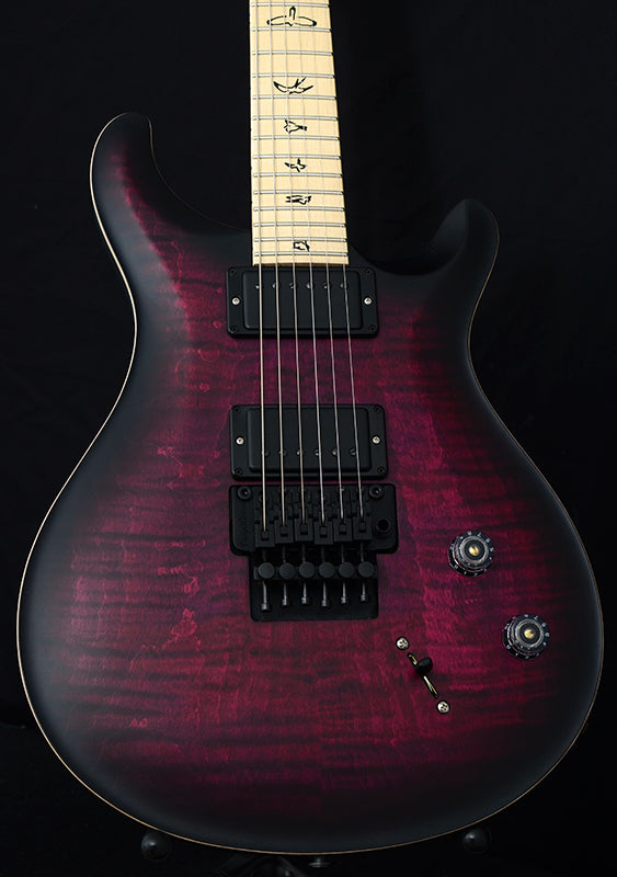 Paul Reed Smith DW CE 24 ÒFloydÓ Limited Edition Waring Burst-Brian's Guitars