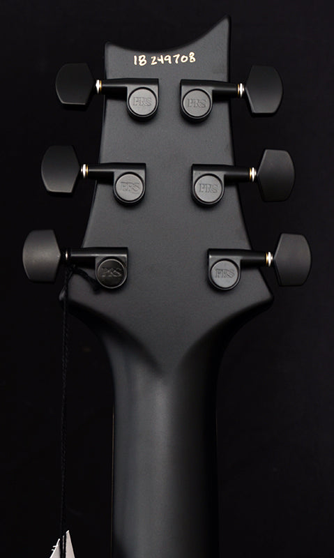 Paul Reed Smith DW CE 24 ÒFloydÓ Limited Edition Gray Black-Brian's Guitars