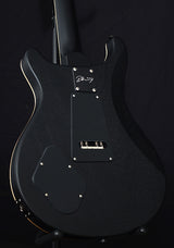 Paul Reed Smith DW CE 24 ÒFloydÓ Limited Edition Gray Black-Brian's Guitars