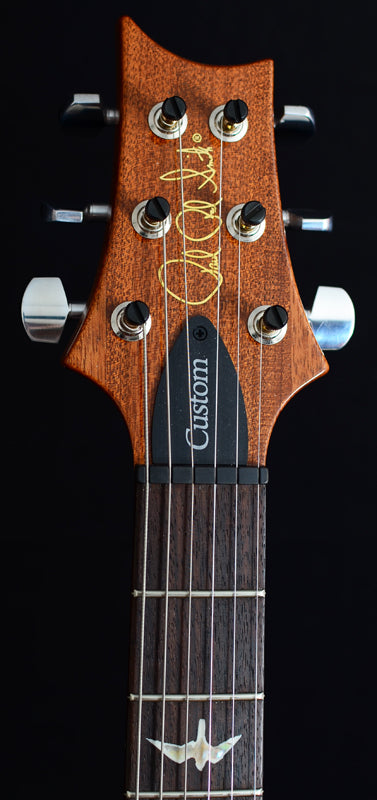 Used Paul Reed Smith Custom 24 Armandos Amethyst-Brian's Guitars