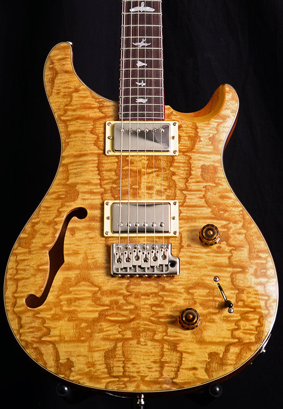 Used Paul Reed Smith SE Custom 22 Semi-Hollow Swamp Ash Limited-Brian's Guitars