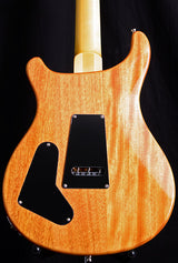 Used Paul Reed Smith SE Custom 22 Semi-Hollow Swamp Ash Limited-Brian's Guitars