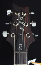 Paul Reed Smith P22 Trem Violet-Brian's Guitars