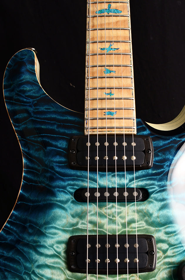 Paul Reed Smith Private Stock Modern Eagle V Sub-Zero Glow Brian's Guitars 10th Anniversary